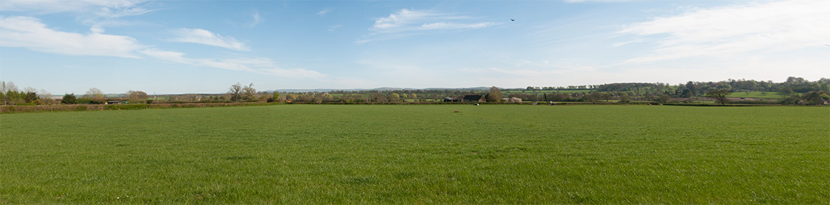 The Green fields of Coker - final battlefield for the Somerset County Council elections 