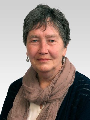 Liz Leavy (Wyndham) will represent the Town on the Meads Steering group